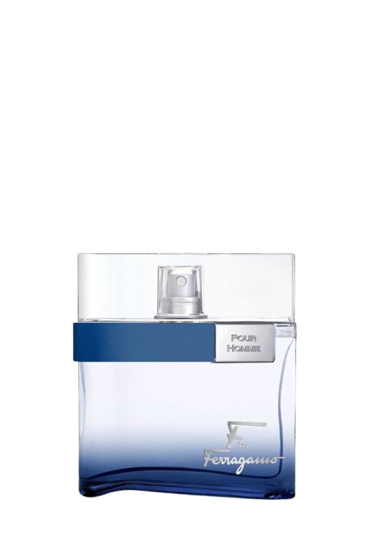 Ferragamo Pour Homme Free Time EDT 100ML